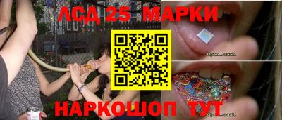 крисы Коммунар