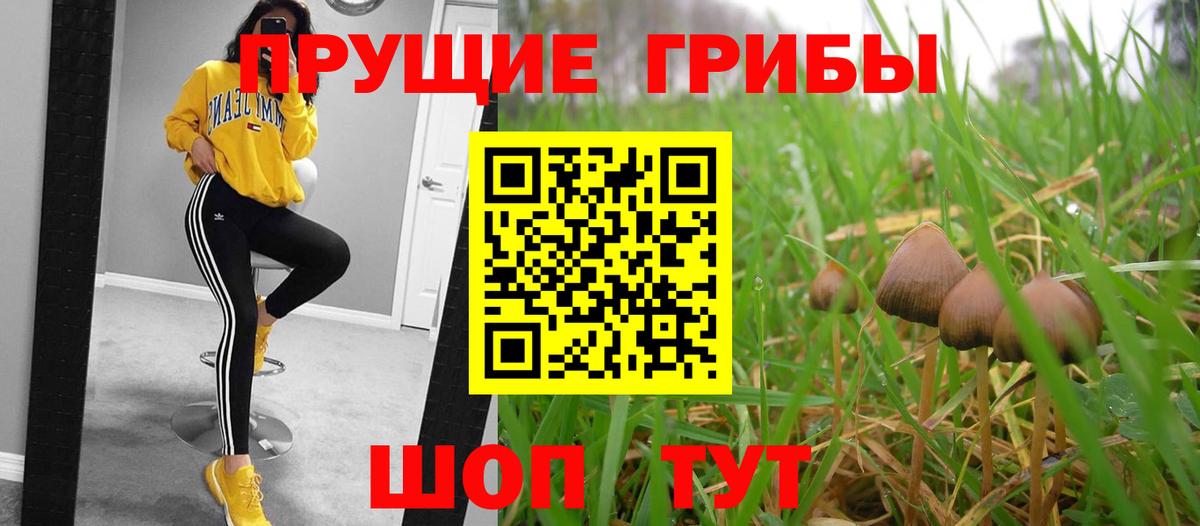 Галлюциногенные грибы мухоморы  Галлюциногенные грибы ЛСД  Алапаевск  Вход с VPN 